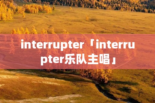interrupter「interrupter乐队主唱」