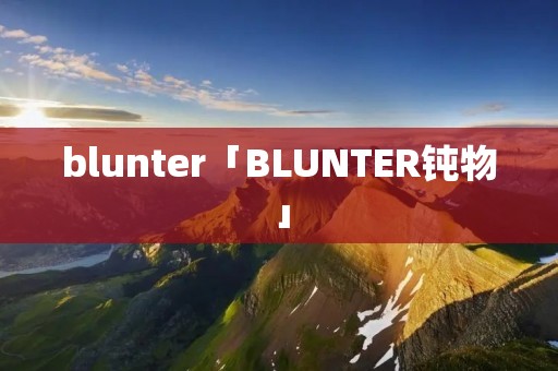 blunter「BLUNTER钝物」