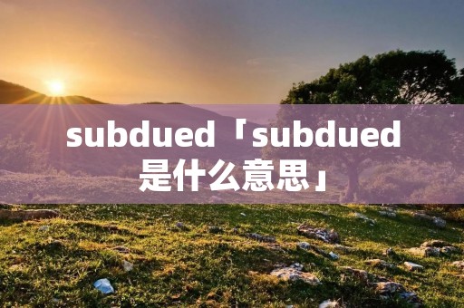 subdued「subdued是什么意思」