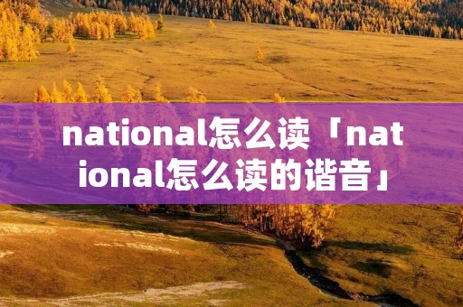 national怎么读「national怎么读的谐音」