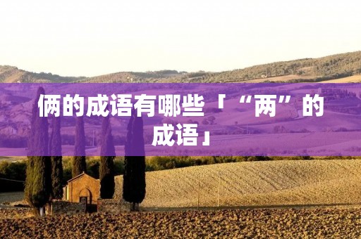 俩的成语有哪些「“两”的成语」
