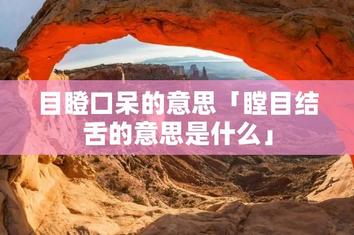 目瞪口呆的意思「瞠目结舌的意思是什么」