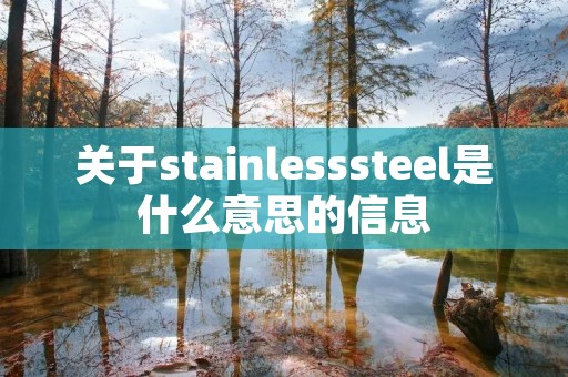 关于stainlesssteel是什么意思的信息