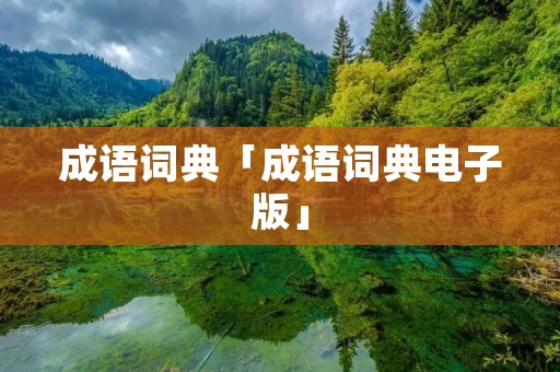 成语词典「成语词典电子版」