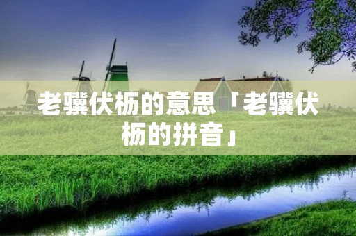 老骥伏枥的意思「老骥伏枥的拼音」