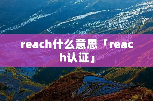 reach什么意思「reach认证」