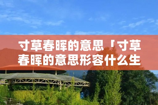 寸草春晖的意思「寸草春晖的意思形容什么生肖」