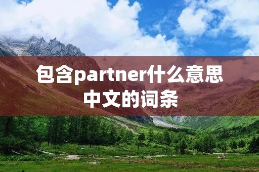 包含partner什么意思中文的词条