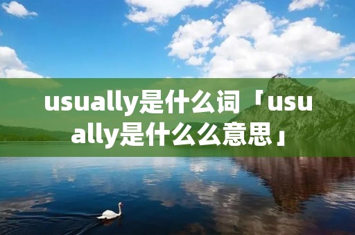 usually是什么词「usually是什么么意思」