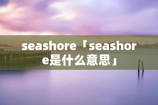 seashore「seashore是什么意思」
