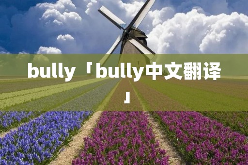 bully「bully中文翻译」