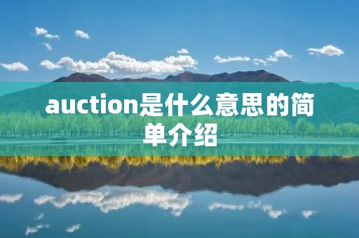 auction是什么意思的简单介绍