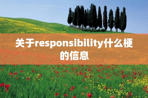 关于responsibility什么梗的信息