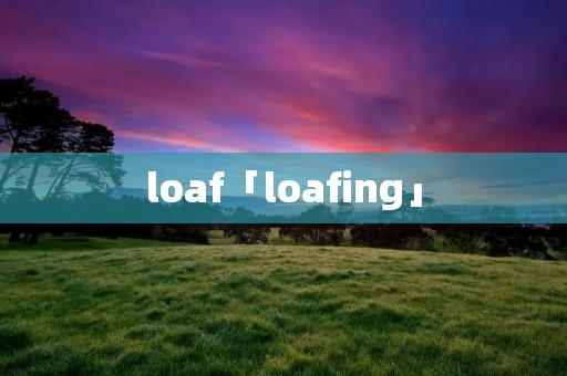 loaf「loafing」