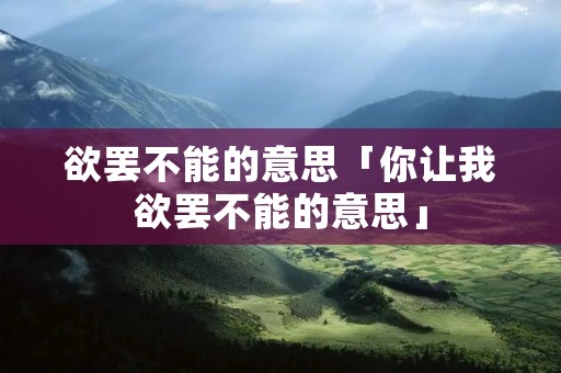 欲罢不能的意思「你让我欲罢不能的意思」