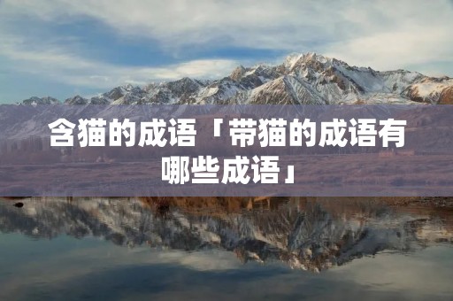 含猫的成语「带猫的成语有哪些成语」