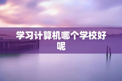 学习计算机哪个学校好呢