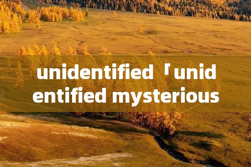unidentified「unidentified mysterious animal」