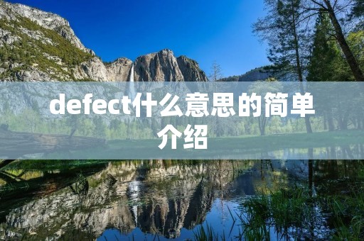 defect什么意思的简单介绍