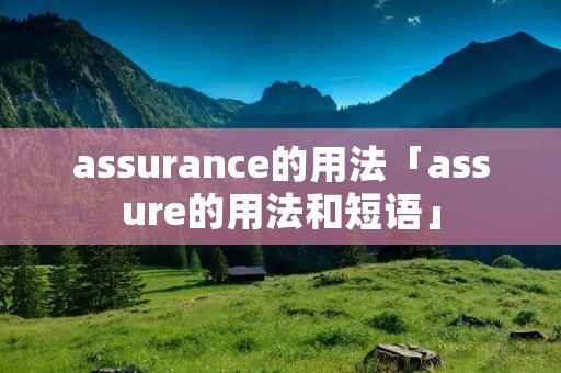 assurance的用法「assure的用法和短语」