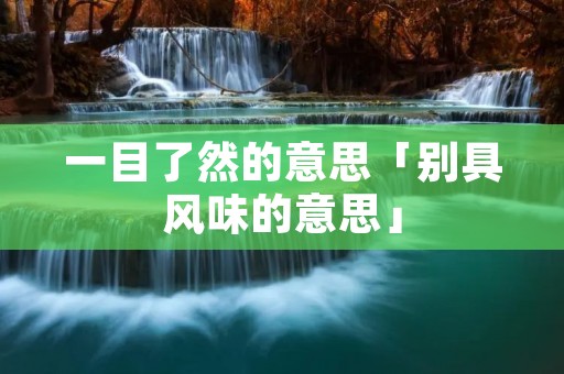 一目了然的意思「别具风味的意思」