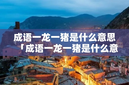 成语一龙一猪是什么意思「成语一龙一猪是什么意思啊」