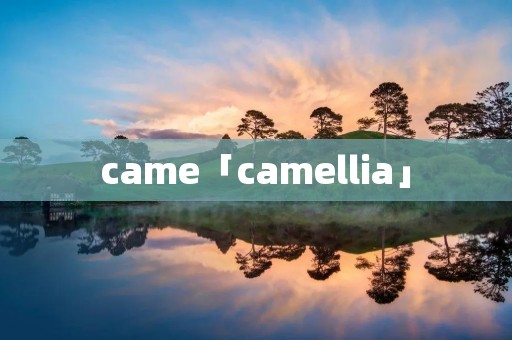 came「camellia」