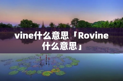 vine什么意思「Rovine什么意思」