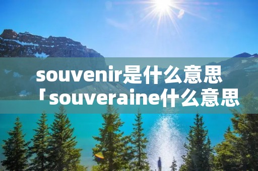 souvenir是什么意思「souveraine什么意思」