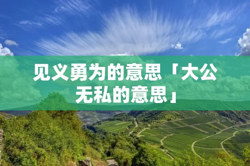 见义勇为的意思「大公无私的意思」
