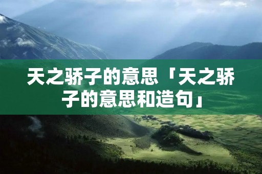 天之骄子的意思「天之骄子的意思和造句」