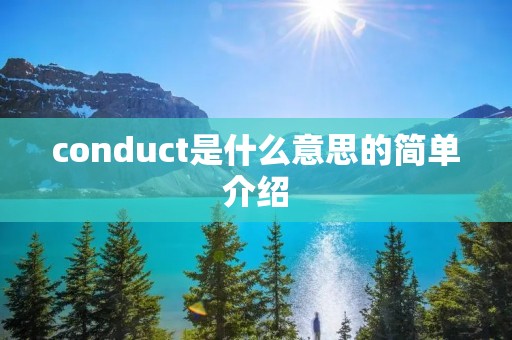 conduct是什么意思的简单介绍