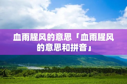 血雨腥风的意思「血雨腥风的意思和拼音」