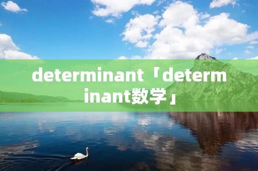 determinant「determinant数学」
