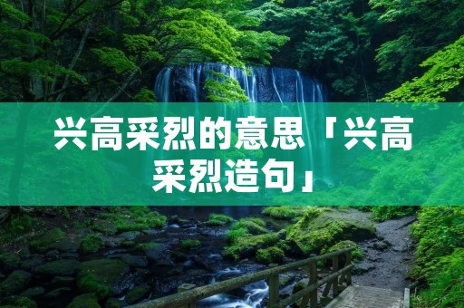 兴高采烈的意思「兴高采烈造句」