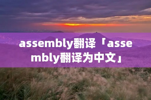 assembly翻译「assembly翻译为中文」