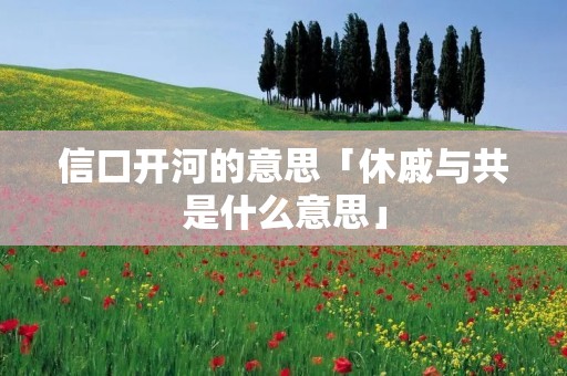 信口开河的意思「休戚与共是什么意思」