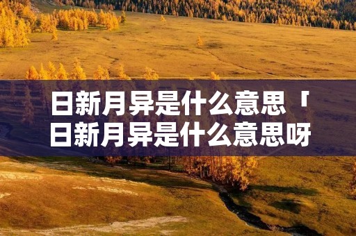 日新月异是什么意思「日新月异是什么意思呀」