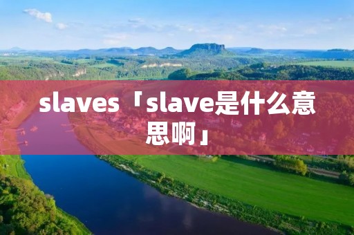 slaves「slave是什么意思啊」