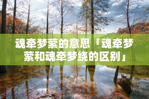 魂牵梦萦的意思「魂牵梦萦和魂牵梦绕的区别」