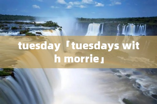 tuesday「tuesdays with morrie」 tuesday「tuesdays with morrie」