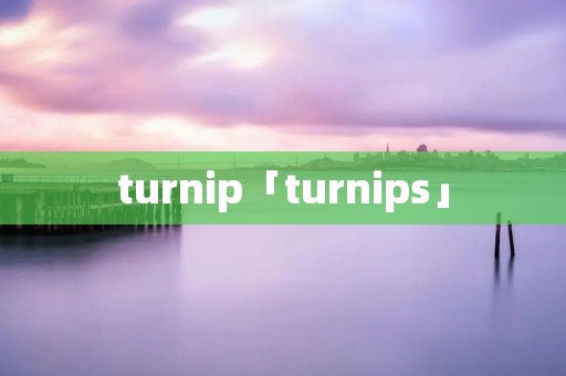 turnip「turnips」 turnip「turnips」