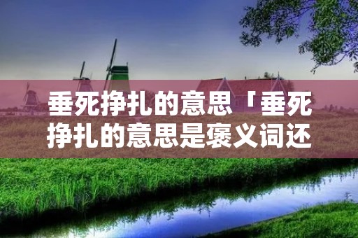 垂死挣扎的意思「垂死挣扎的意思是褒义词还是贬义词」