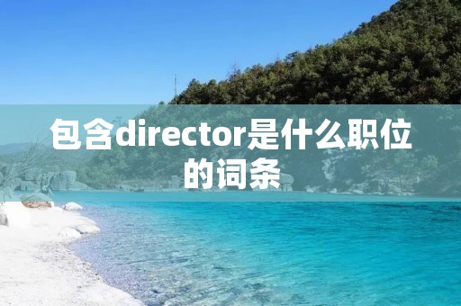 包含director是什么职位的词条 包含director是什么职位的词条