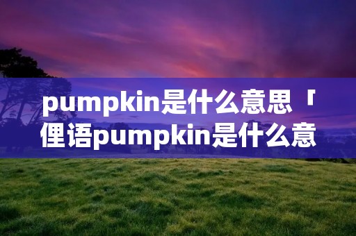 pumpkin是什么意思「俚语pumpkin是什么意思」