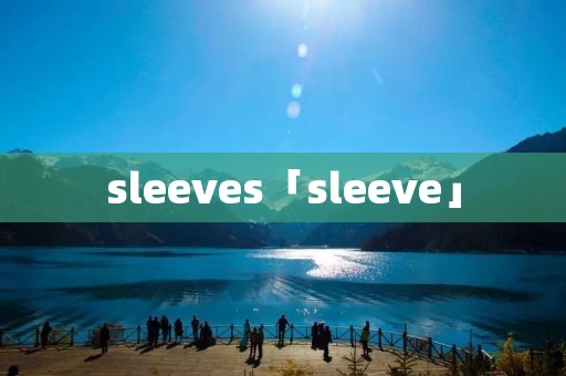 sleeves「sleeve」