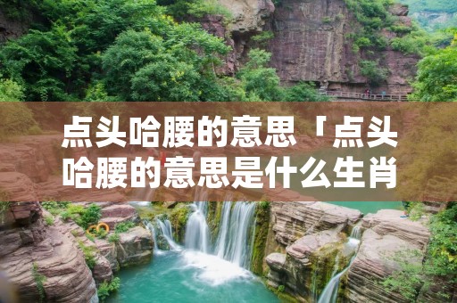 点头哈腰的意思「点头哈腰的意思是什么生肖」