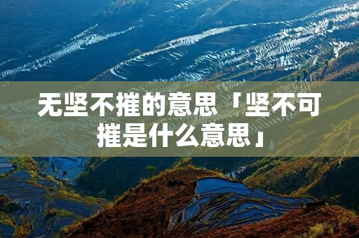 无坚不摧的意思「坚不可摧是什么意思」