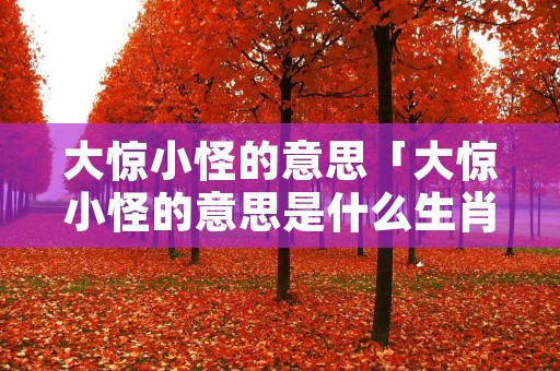 大惊小怪的意思「大惊小怪的意思是什么生肖」