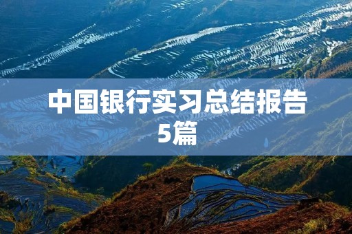 中国银行实习总结报告5篇